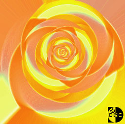 Flower (27K JPEG)